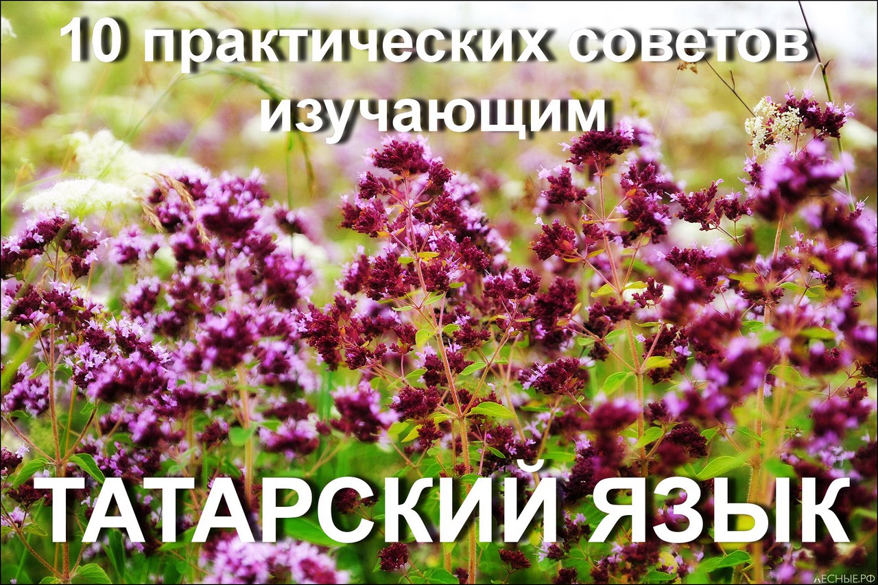 eka.tatar - татарский екатеринбург - 10 практических советов изучающим  татарский язык